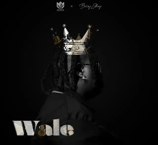 Anonymous Music ft. Barry Jhay – Wale